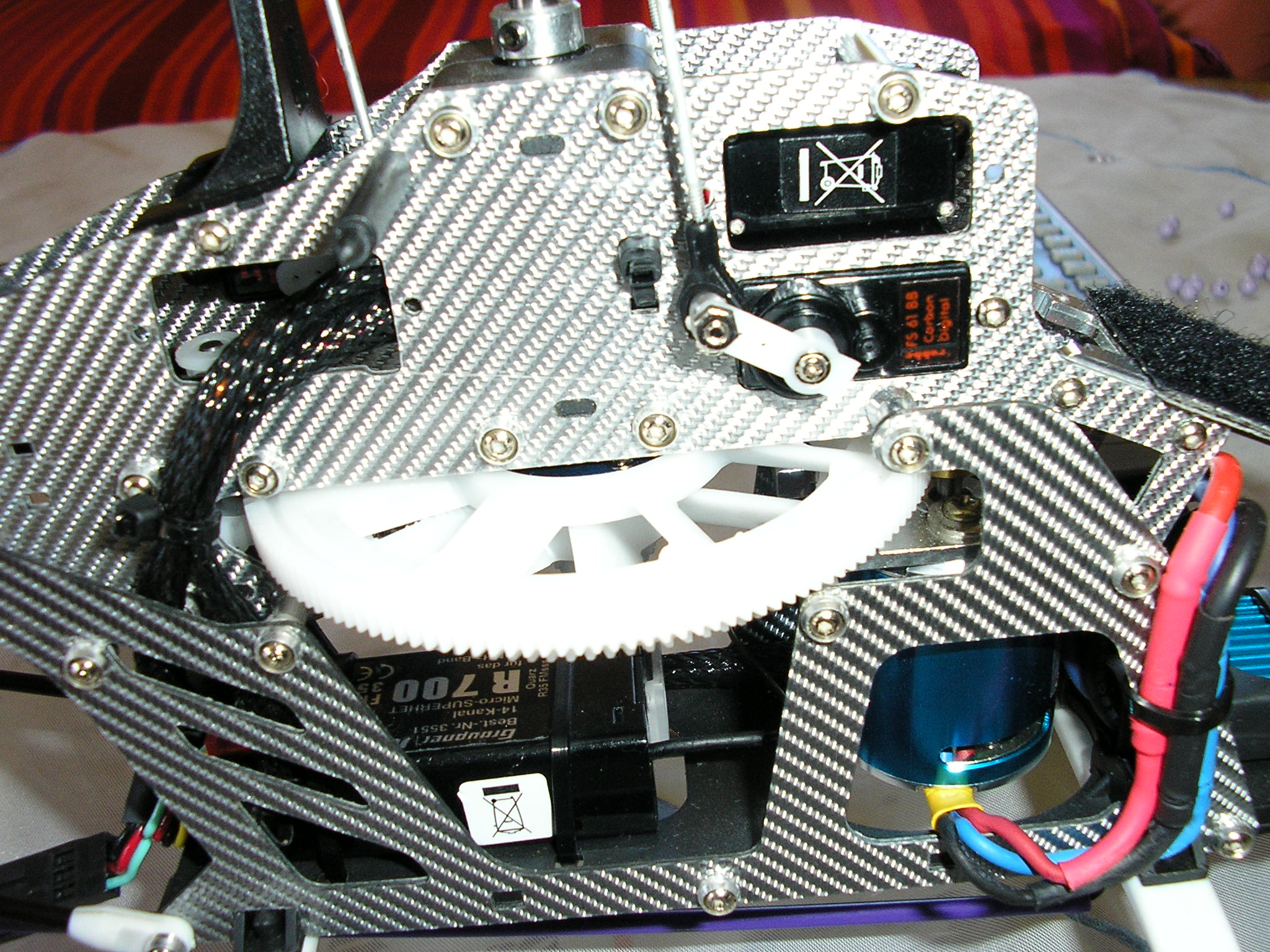 P003.JPG