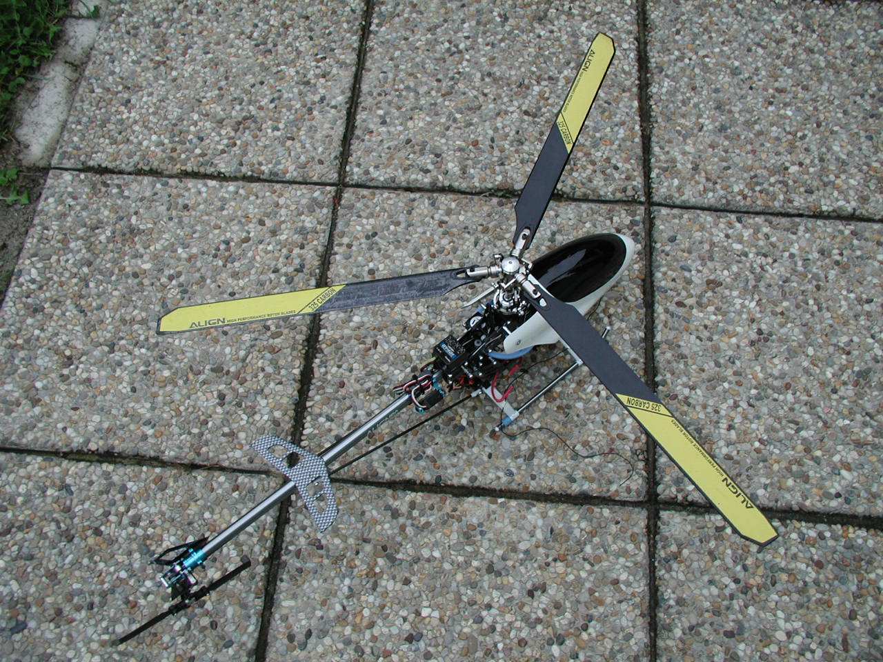 P8290003.JPG