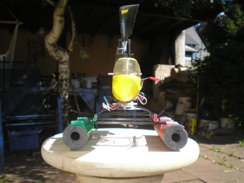 P8250006 (Medium).JPG