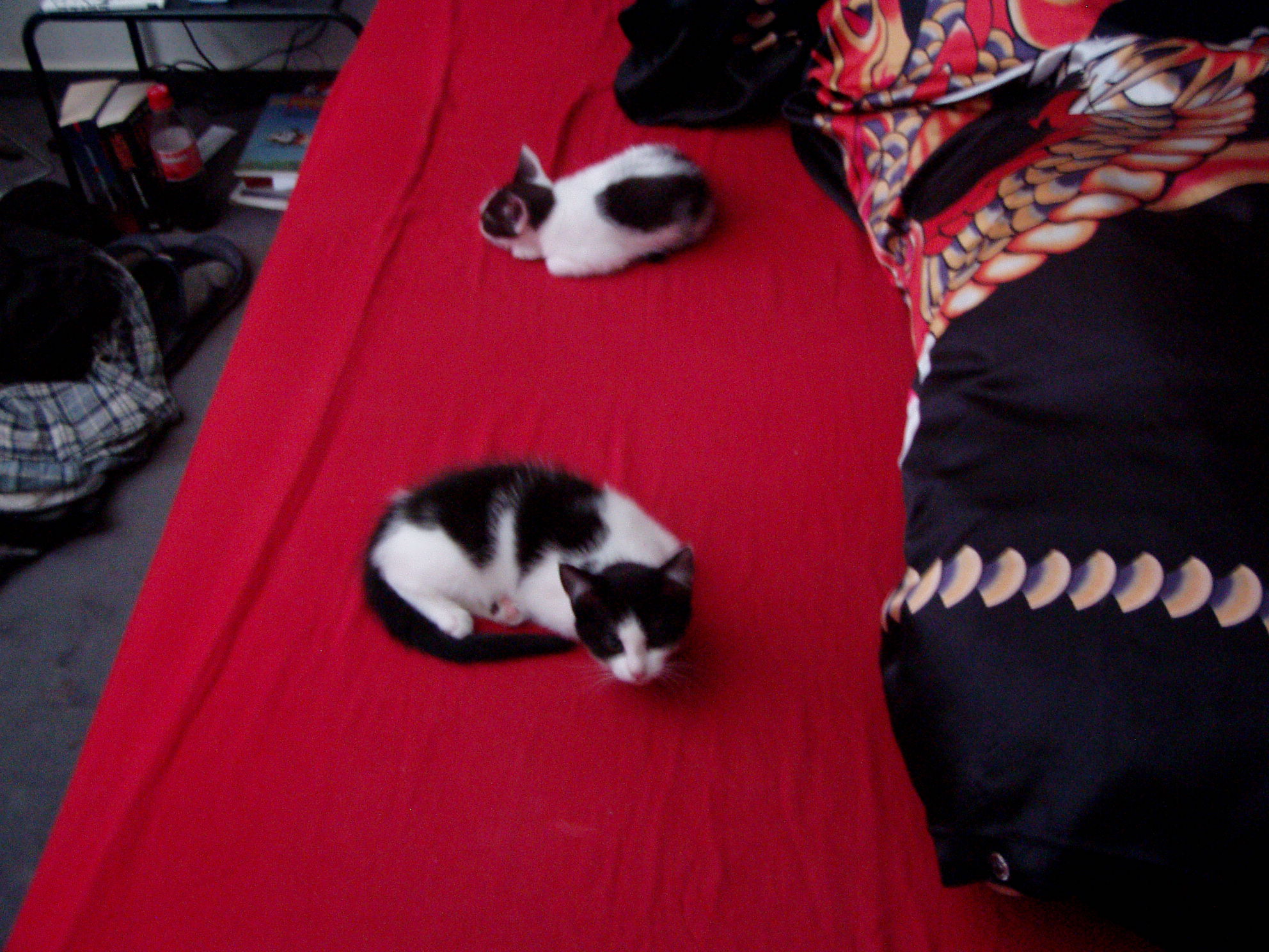 P1010166.JPG