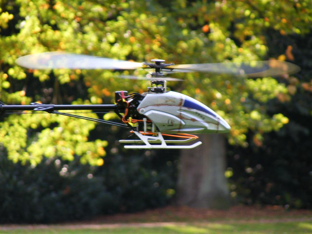 Bild 032 (Large).jpg