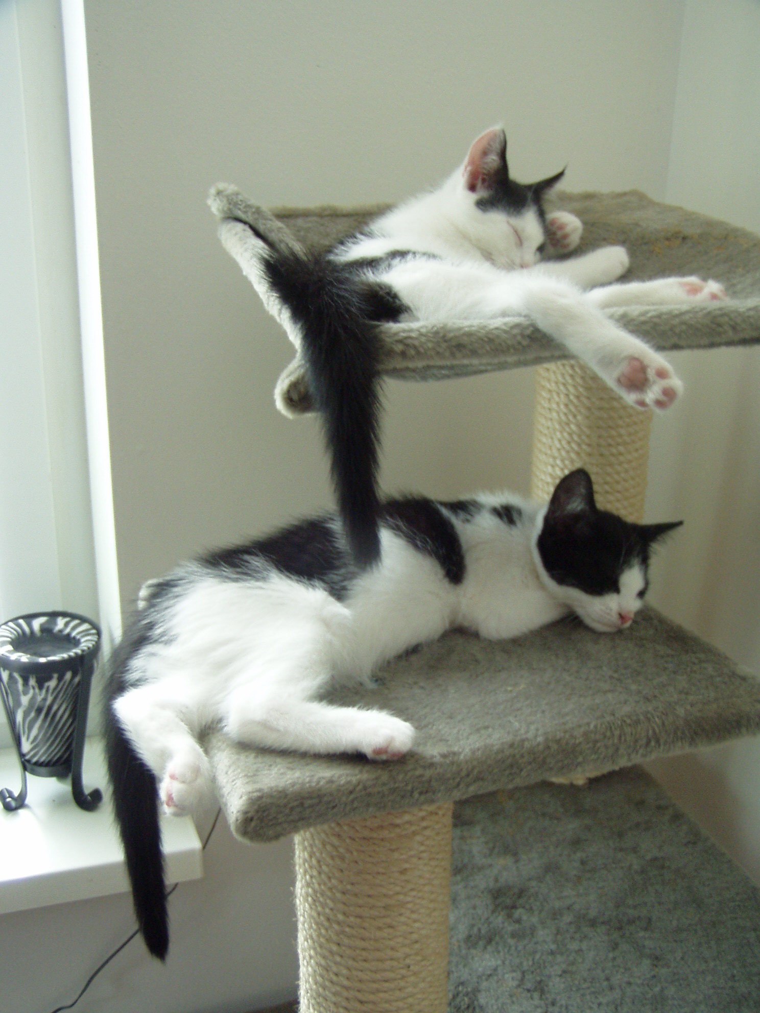 Klaus &amp;amp; Uschi