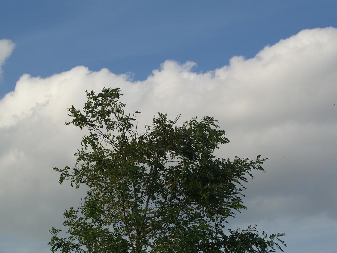 CIMG2976.JPG