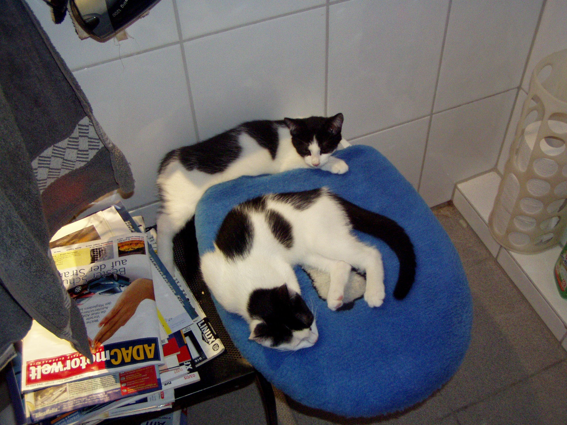P1010007.JPG
