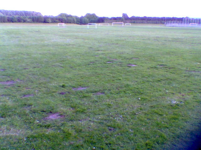 feld2-3.jpg