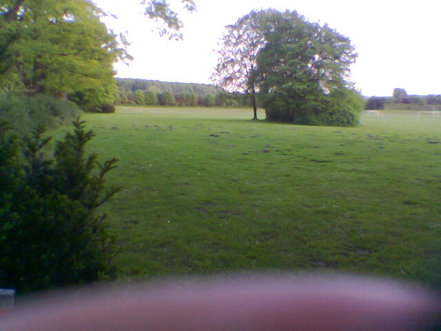 feld2-2.jpg