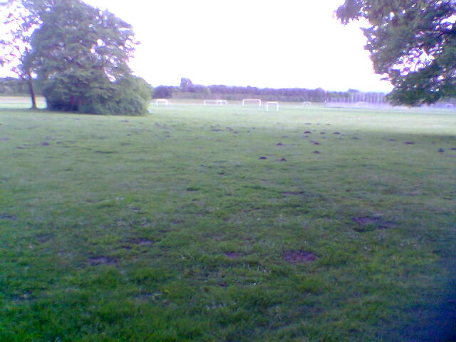 feld2.jpg