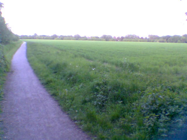 feld1.jpg