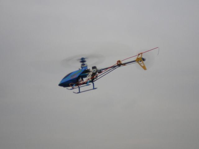 k-IMGP1443.JPG