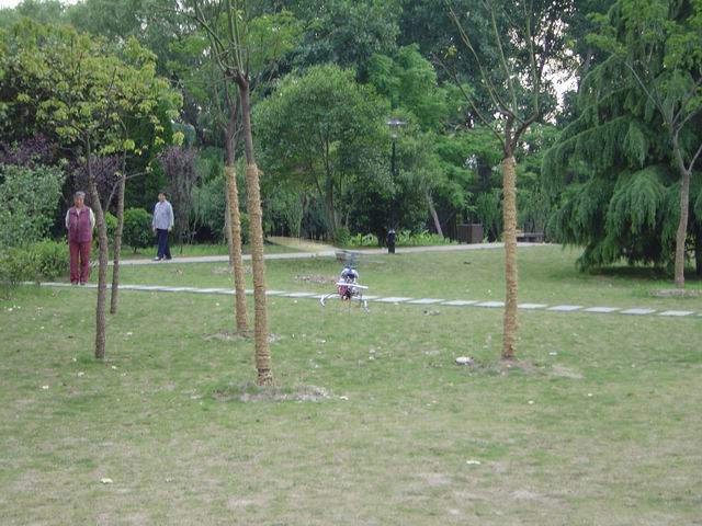 DSC02791.JPG
