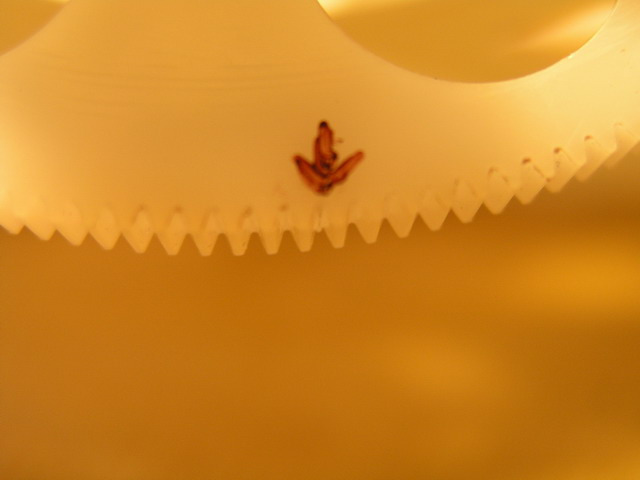 20071204_HZR.JPG