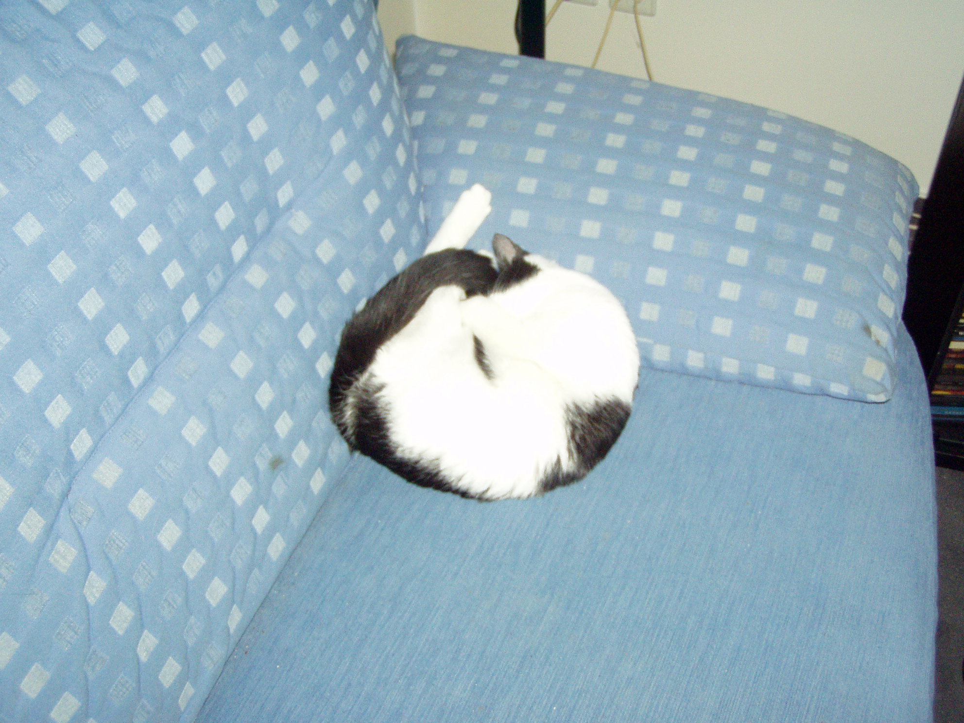 P1010054.JPG