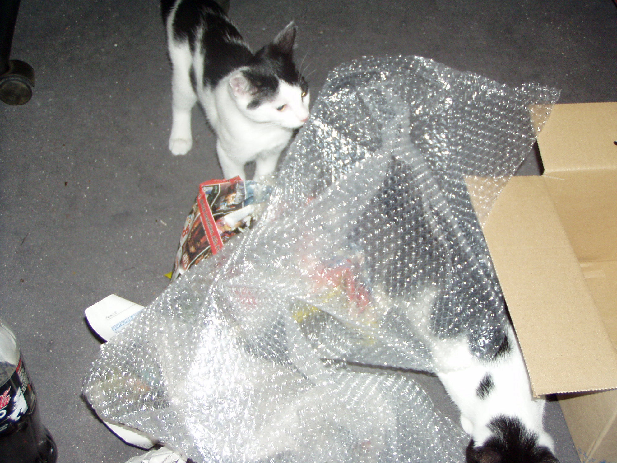 Das Verpackungsmaterial wurde von den Kontrolleuren für &amp;quot;gut&amp;quot; befunden! (Katzen im Lieferumfang nicht enthalten!!!)