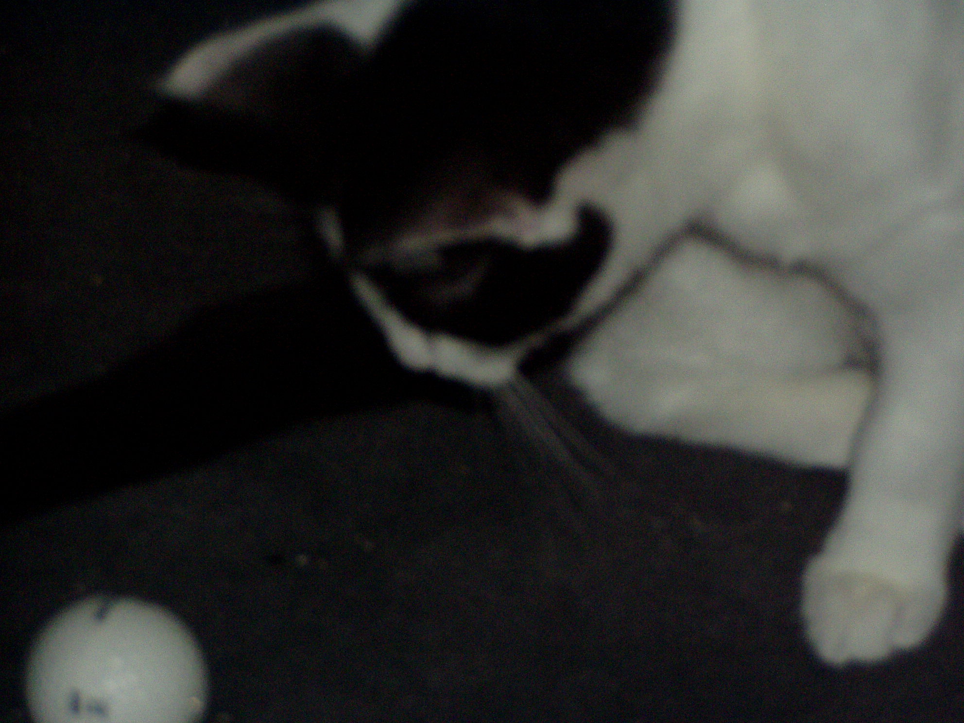 &amp;quot;Der Ball ist ja verhext!!! Der bewegt sich ja, obwohl ich ihn nicht berührt habe?!&amp;quot;