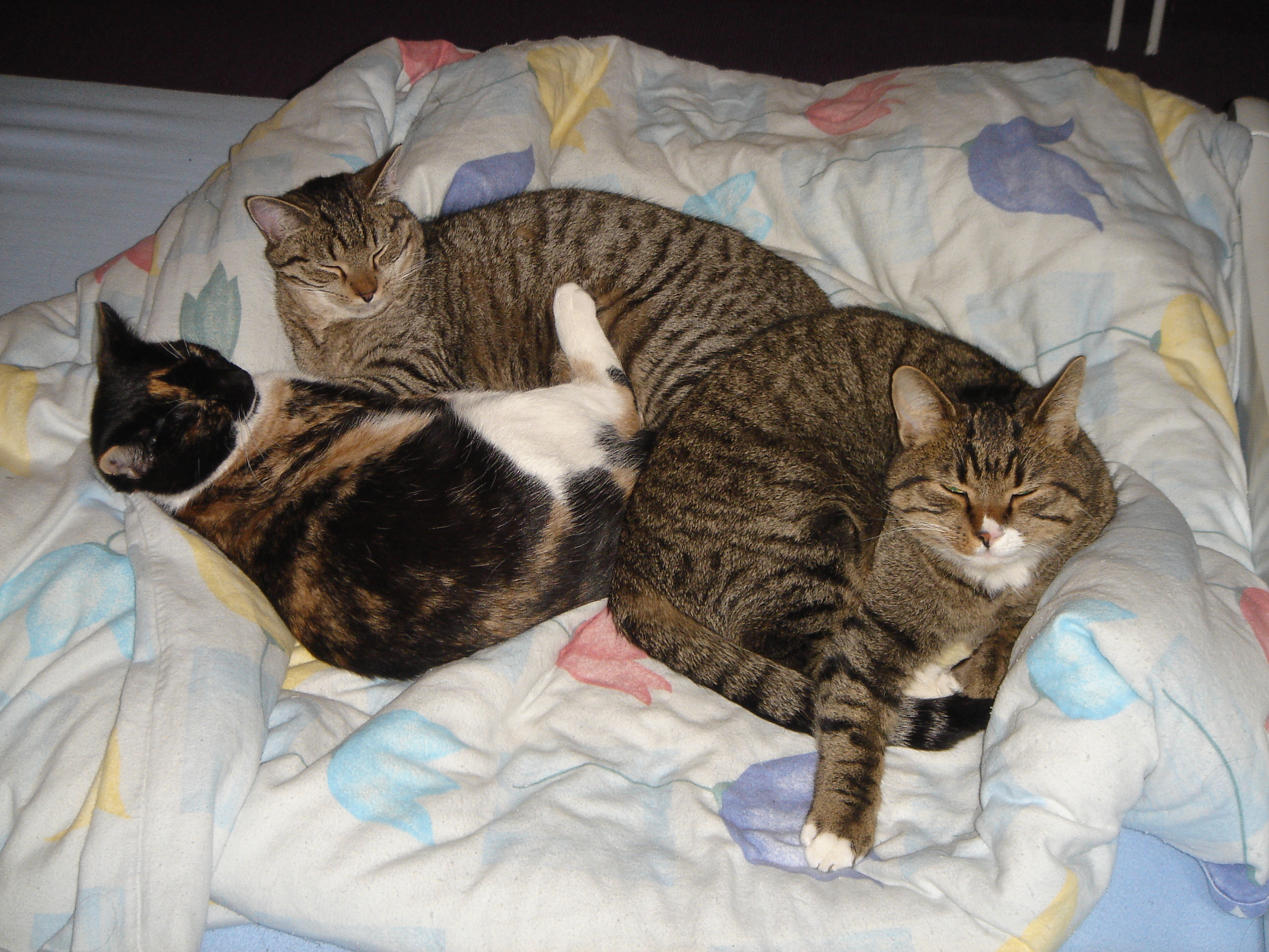 DSC03063.JPG