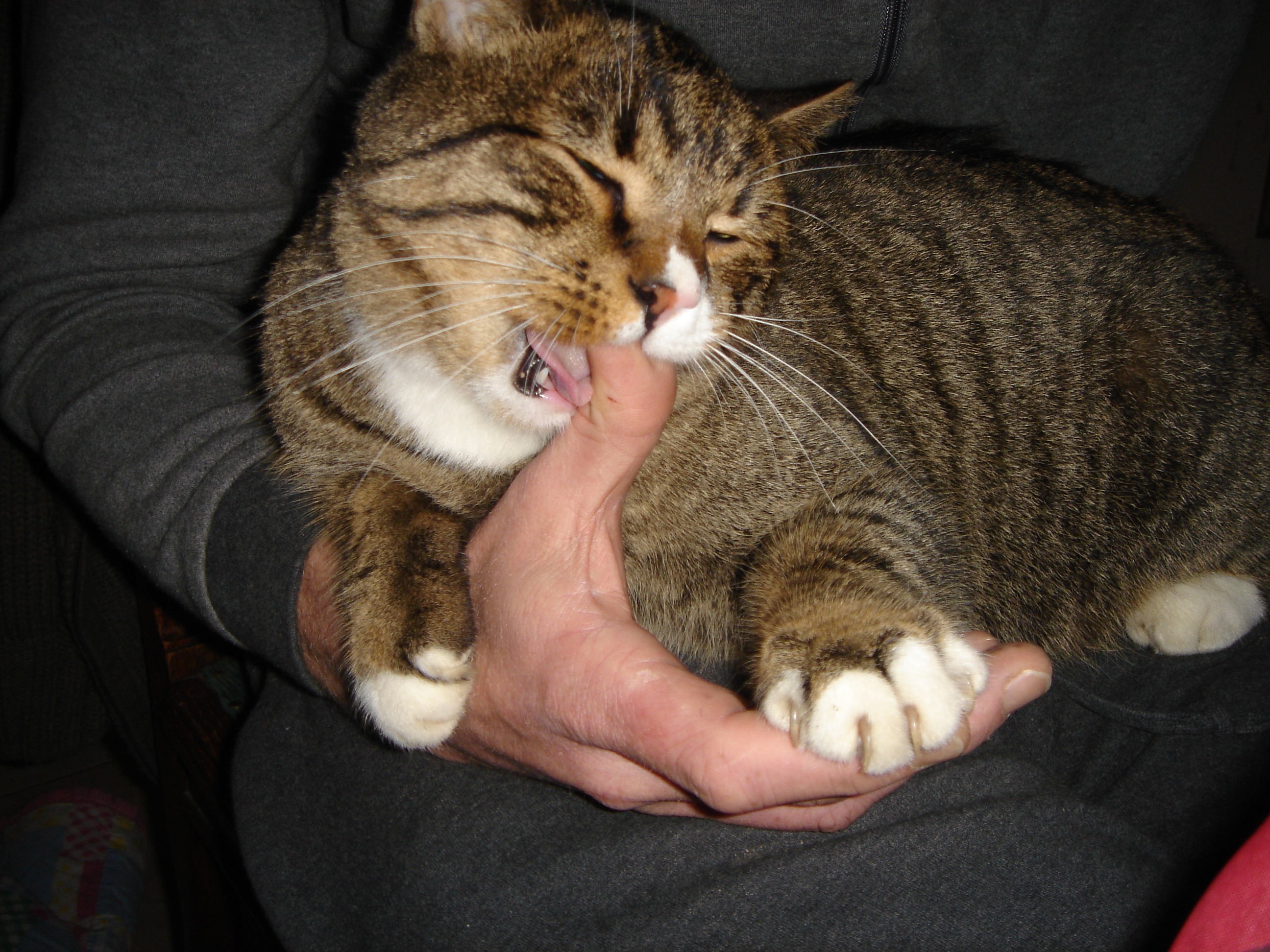 DSC03071.JPG