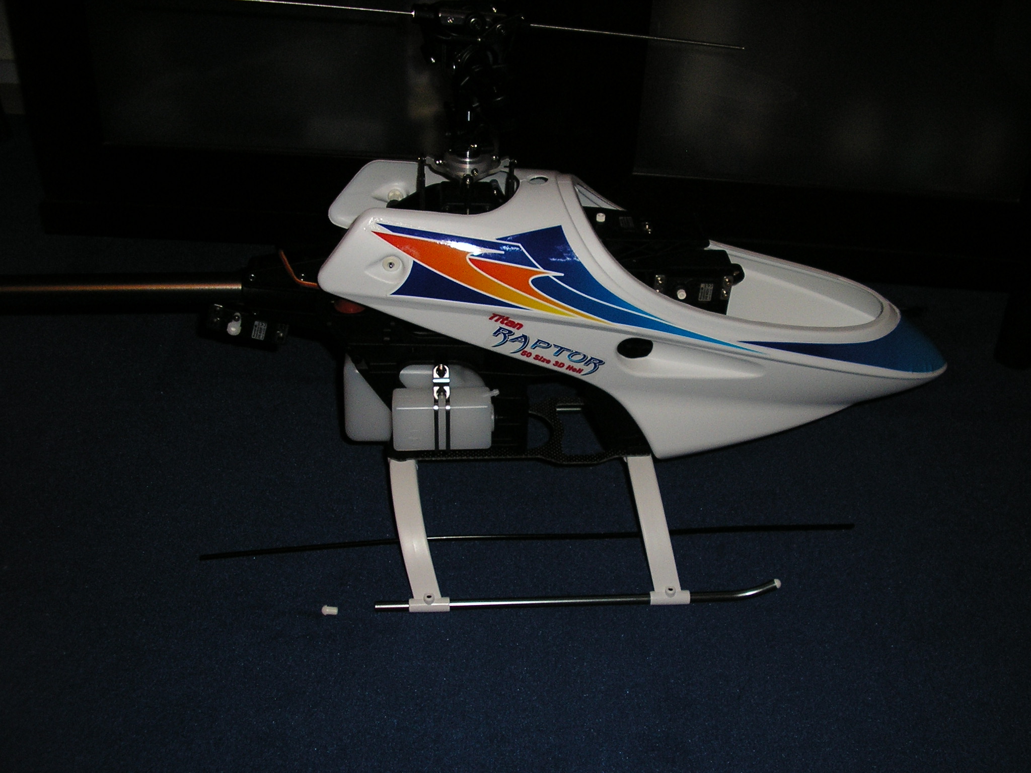 P1010003.JPG