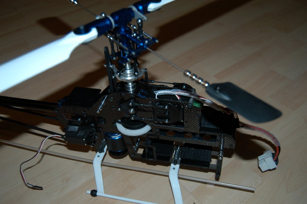 DSC_6666.JPG