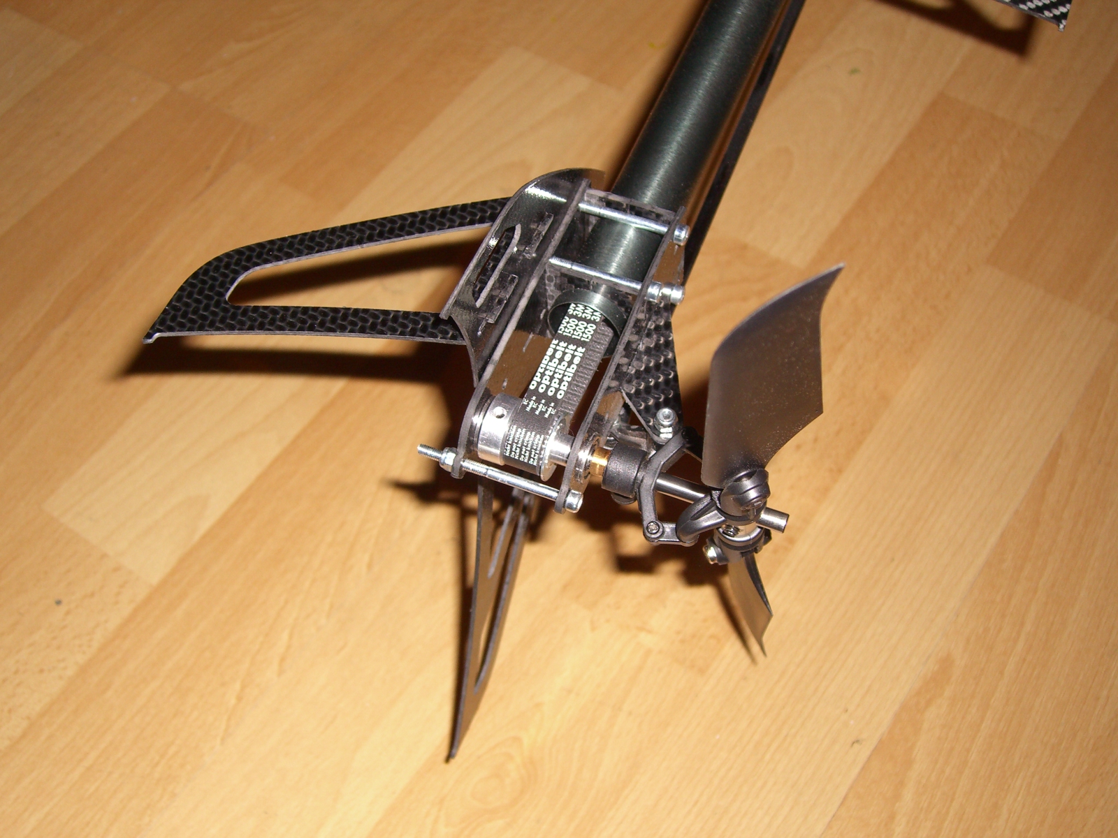 CIMG3574.JPG