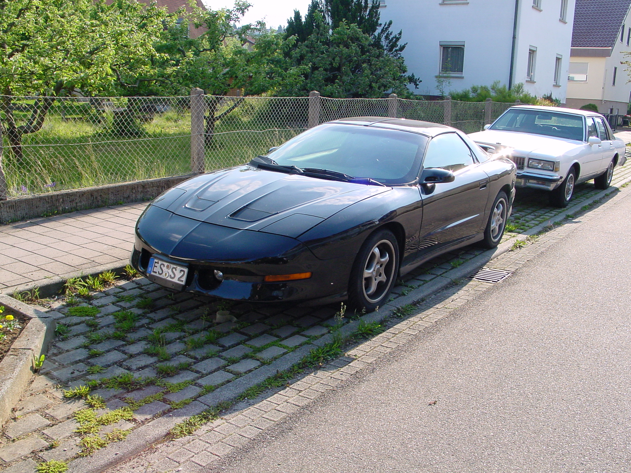 DSC01170.JPG