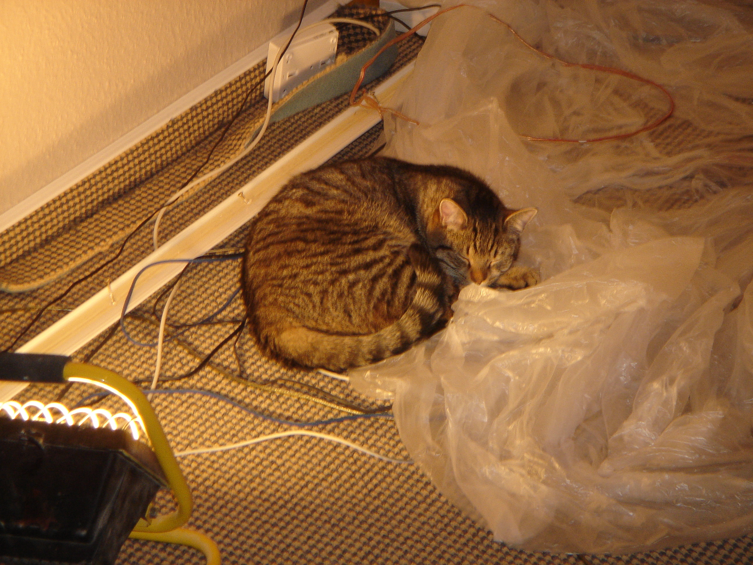 DSC03109.JPG