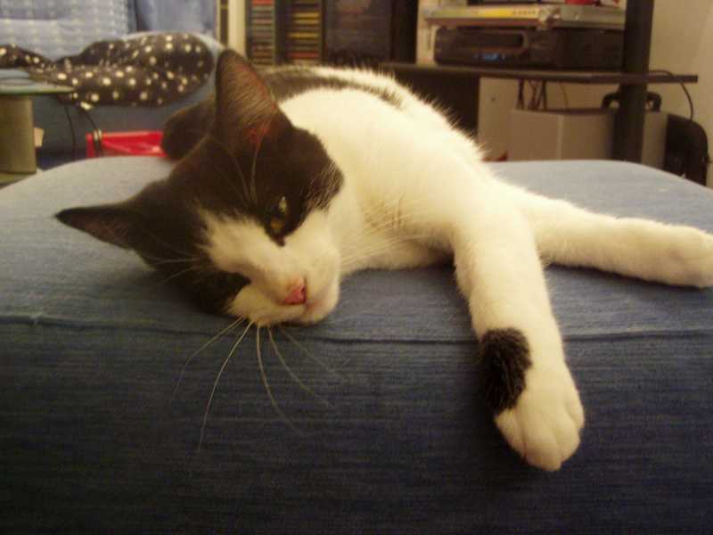 P1010170_small.jpg