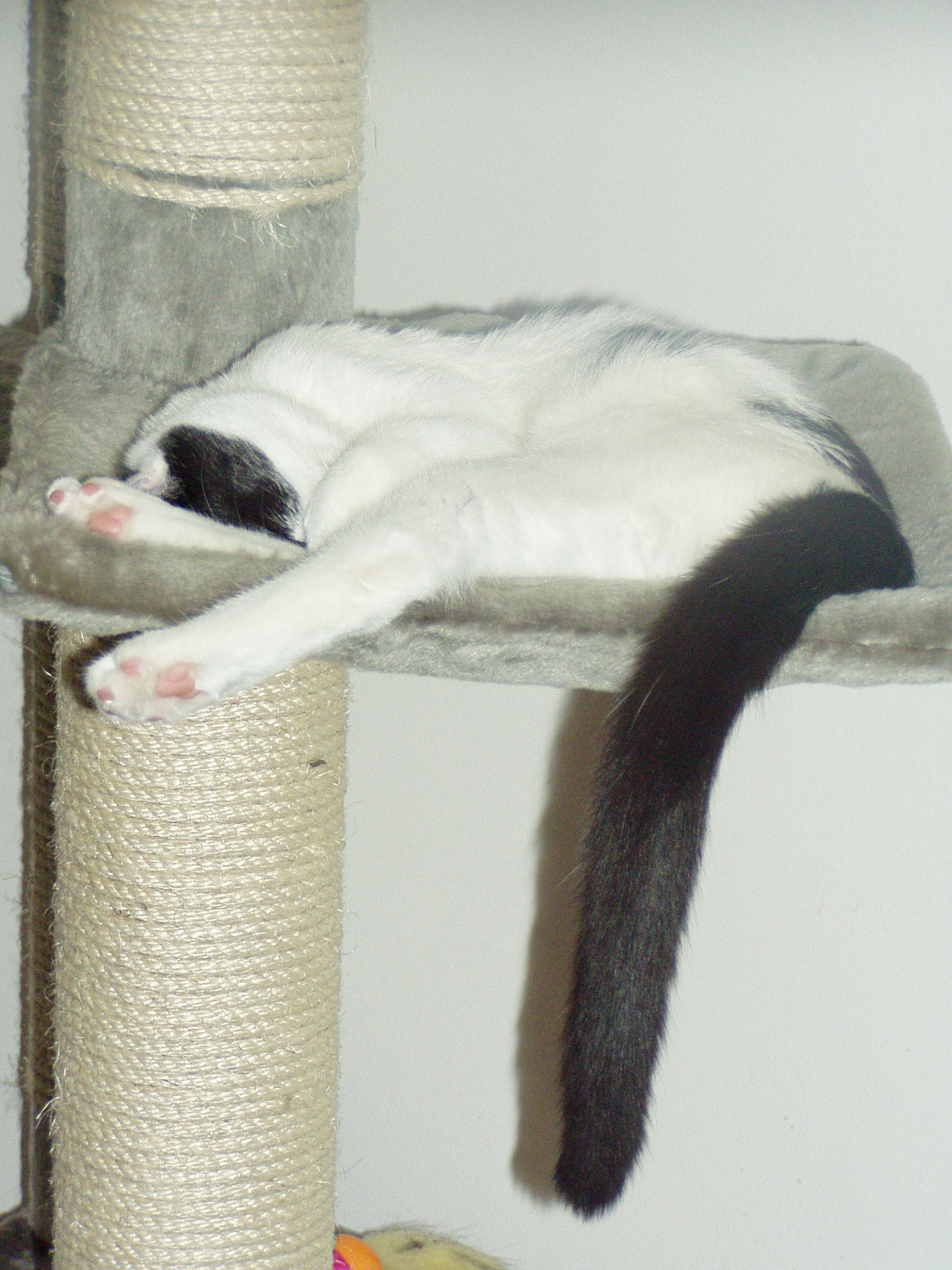 P1010166.JPG
