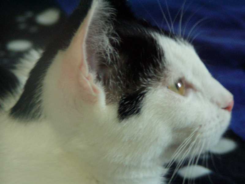 P1010151_small.jpg