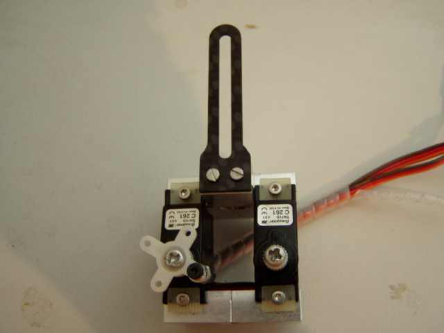 P1010007.JPG