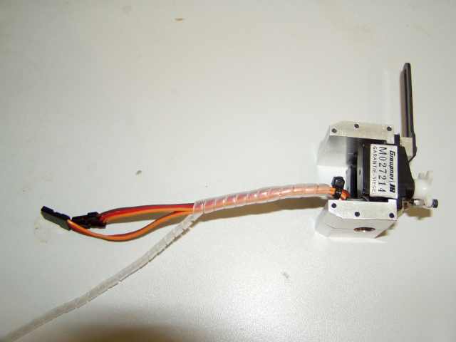 P1010005.JPG