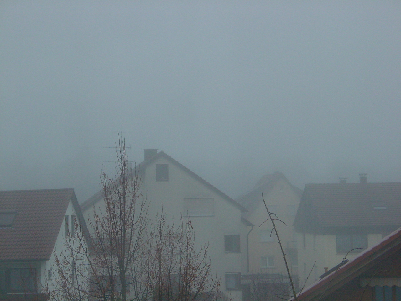 DSC01520.JPG
