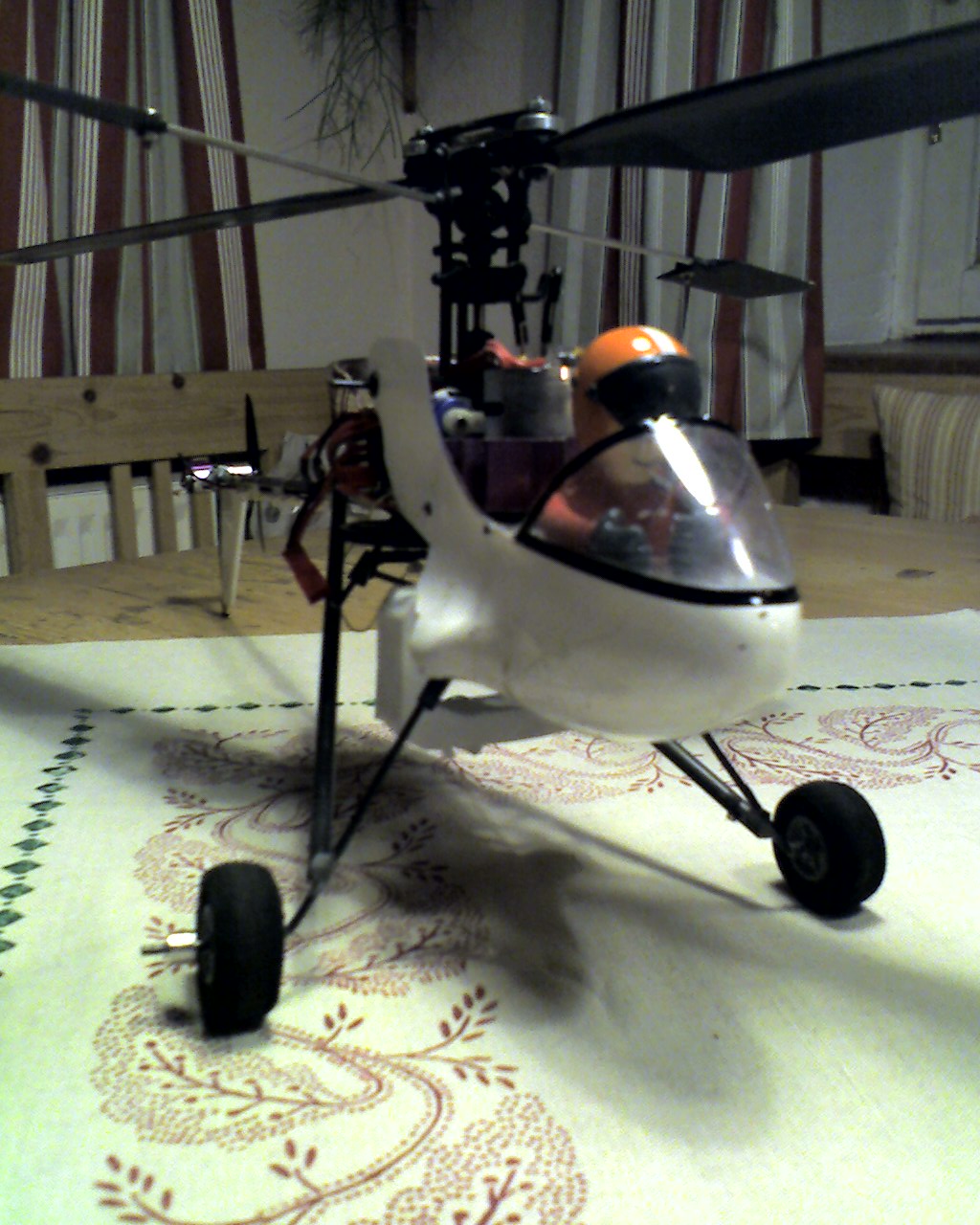 bondheli (1).jpg