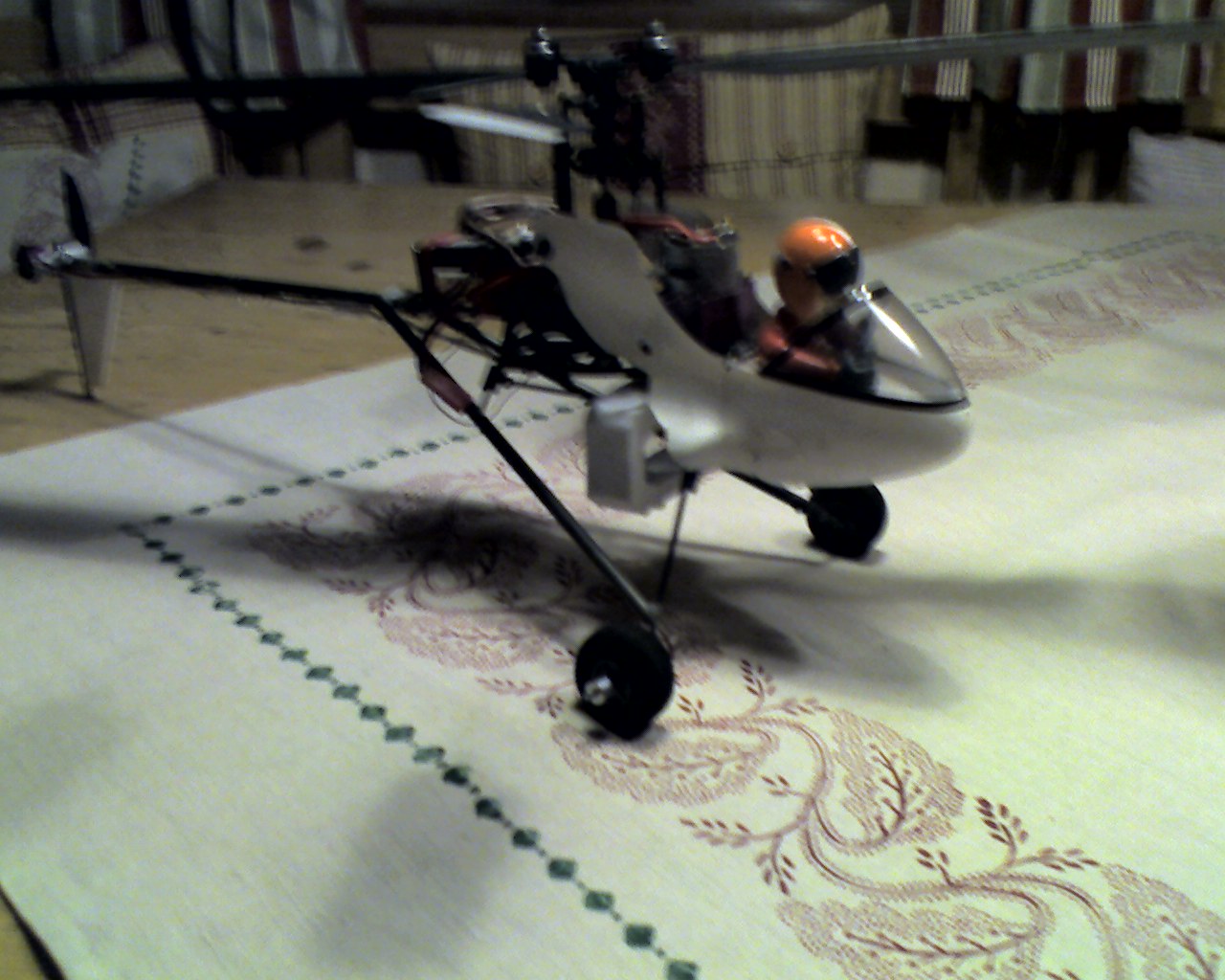 bondheli.jpg