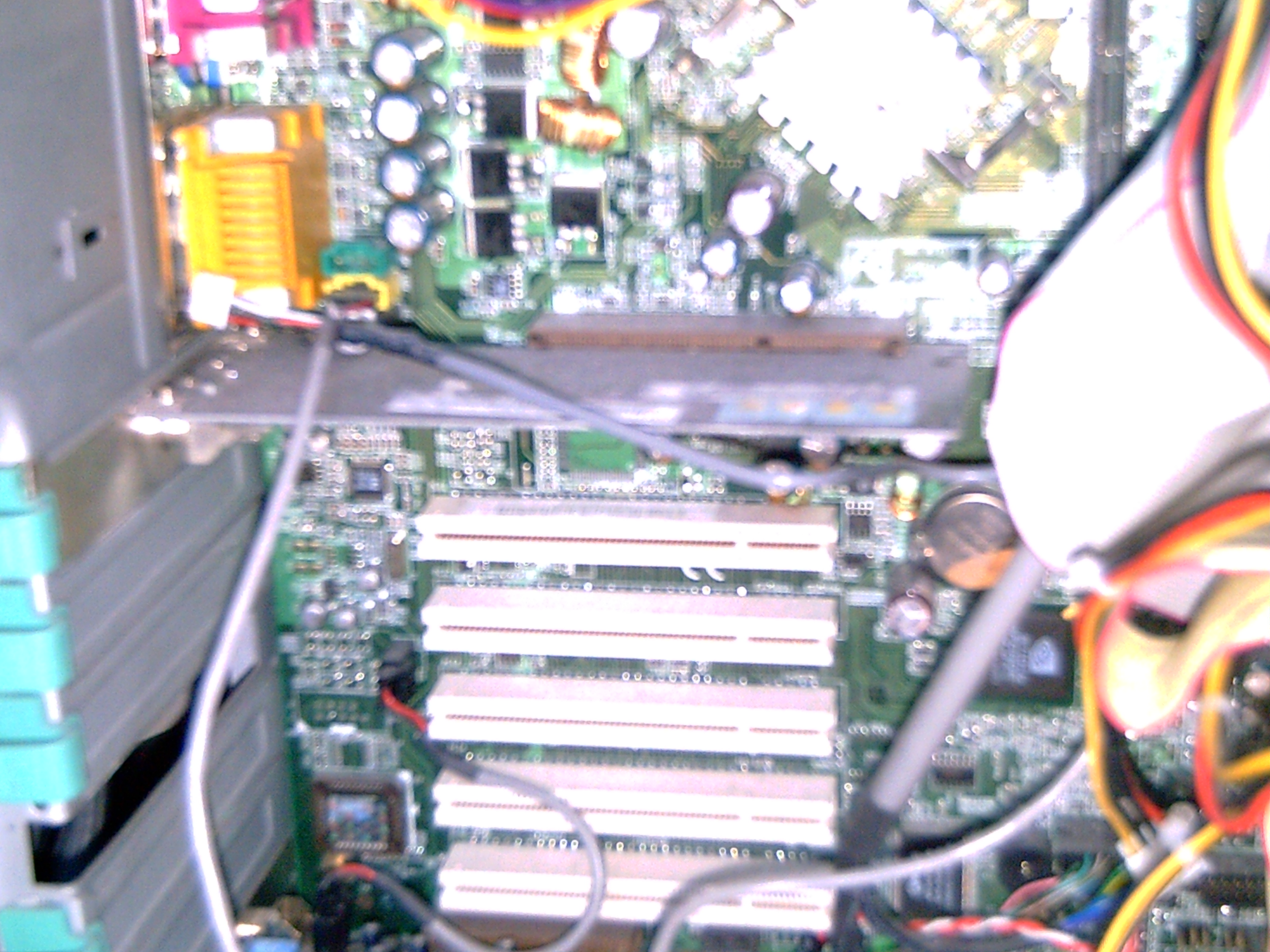 PICT0011.JPG