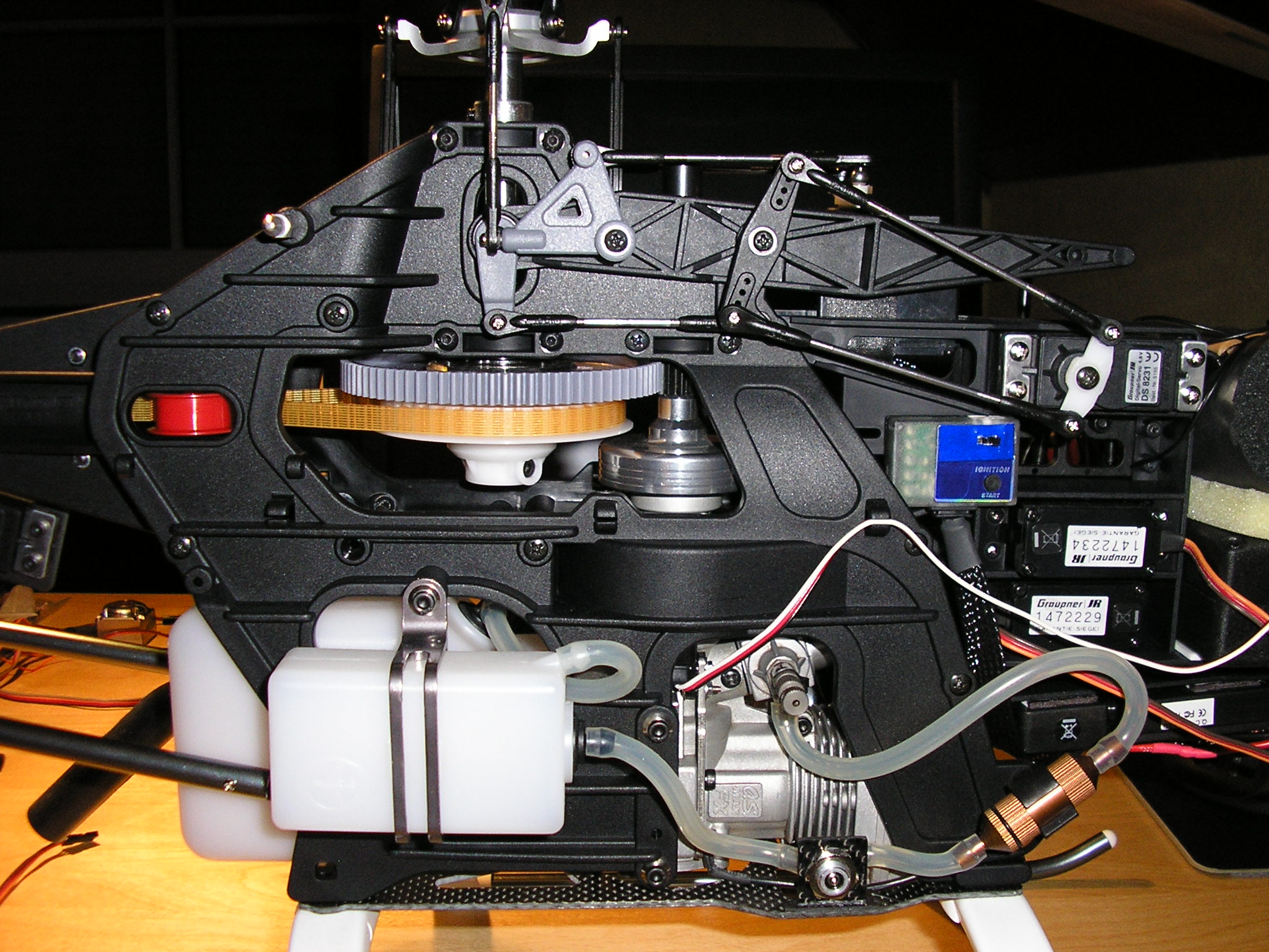 P1010011.JPG