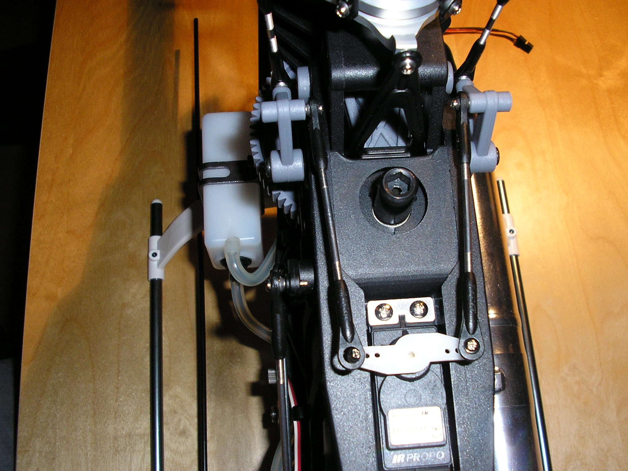 P1010010.JPG