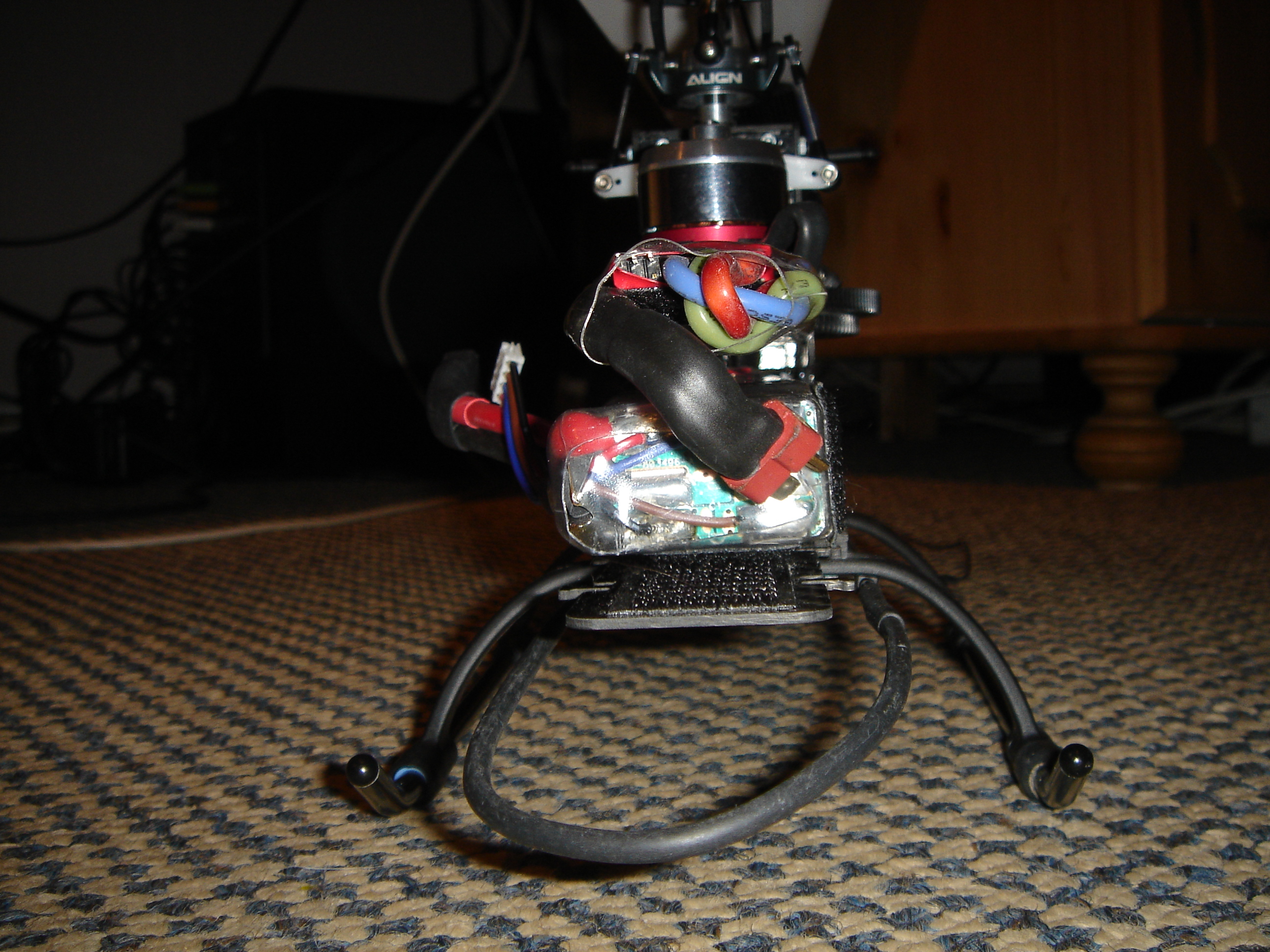 DSC03210.JPG