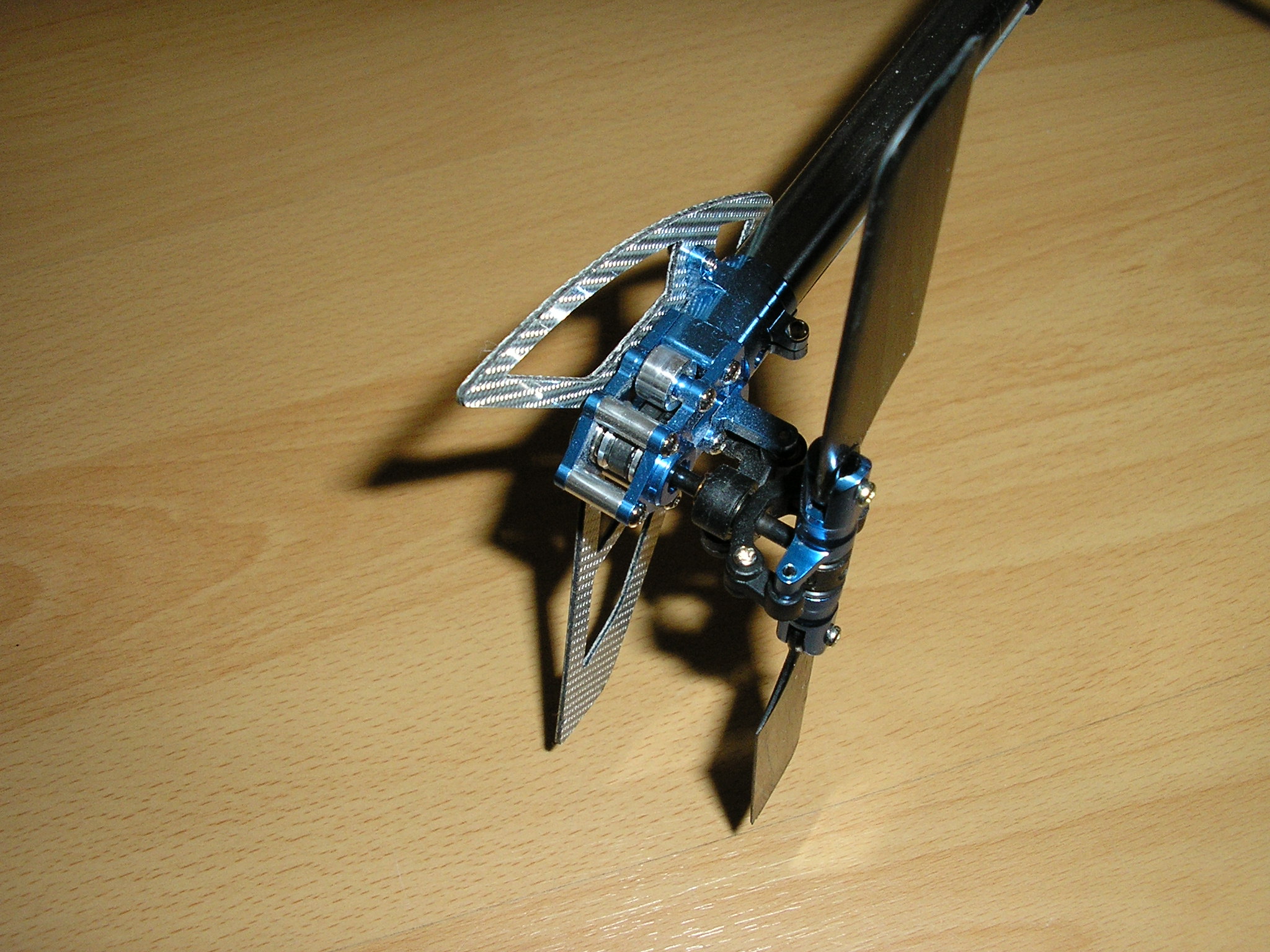 P1010033.JPG