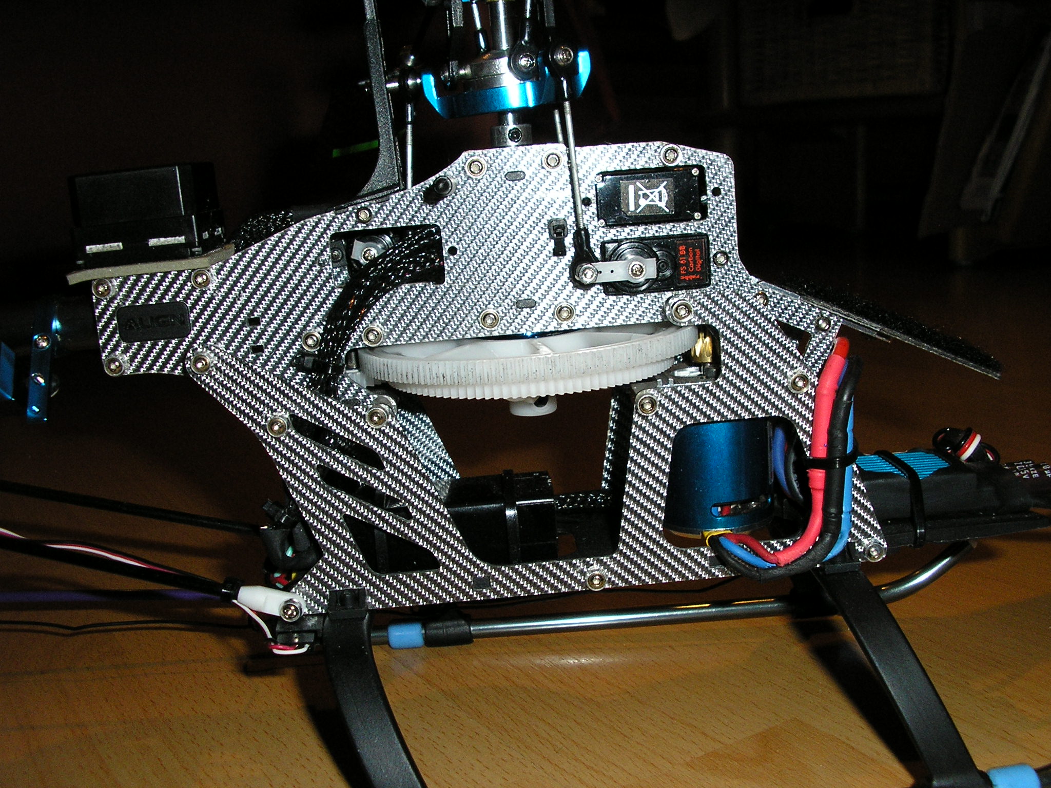 P1010039.JPG