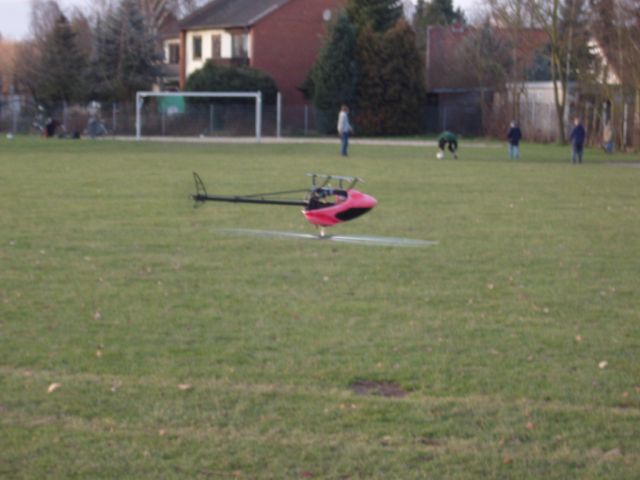 fliegen 011.JPG