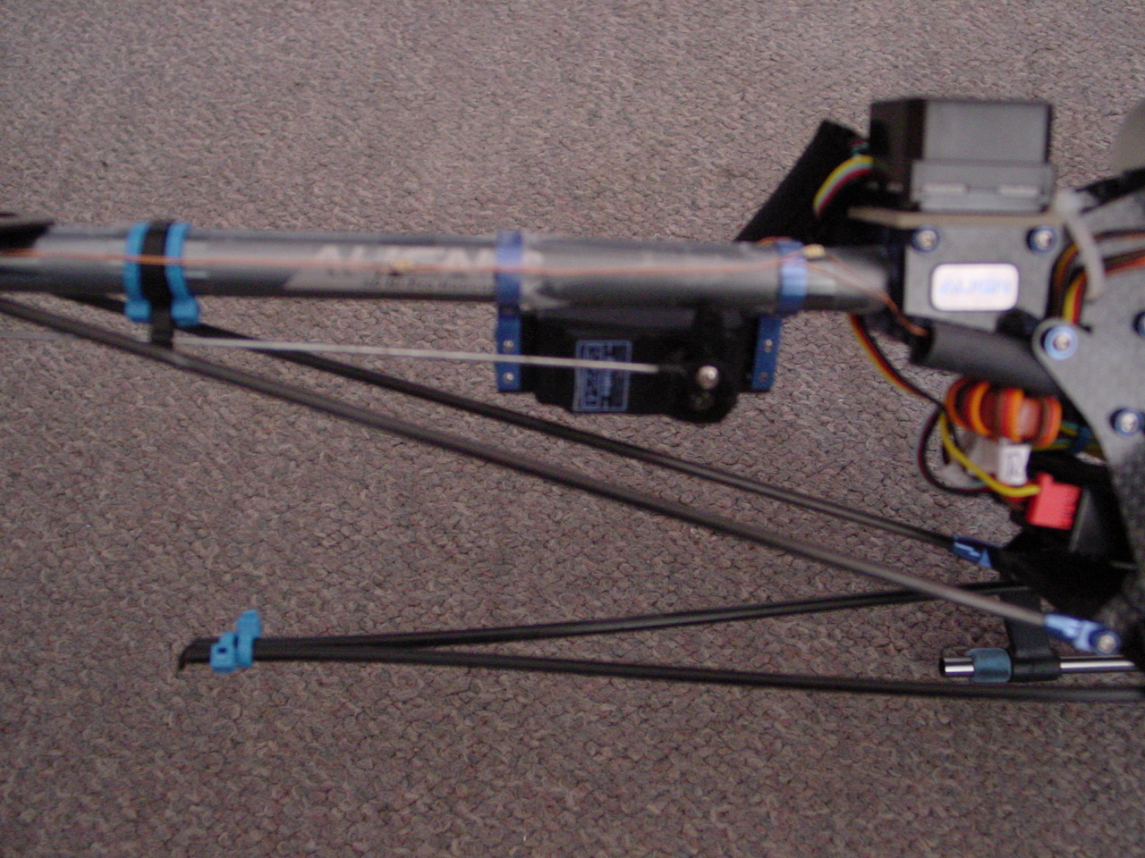 DSC01538.JPG