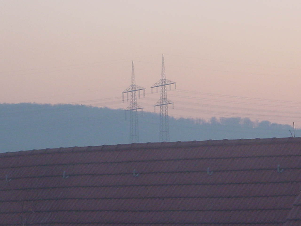 DSC01541.JPG