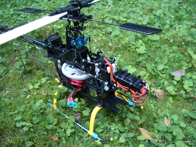 without canopy.JPG