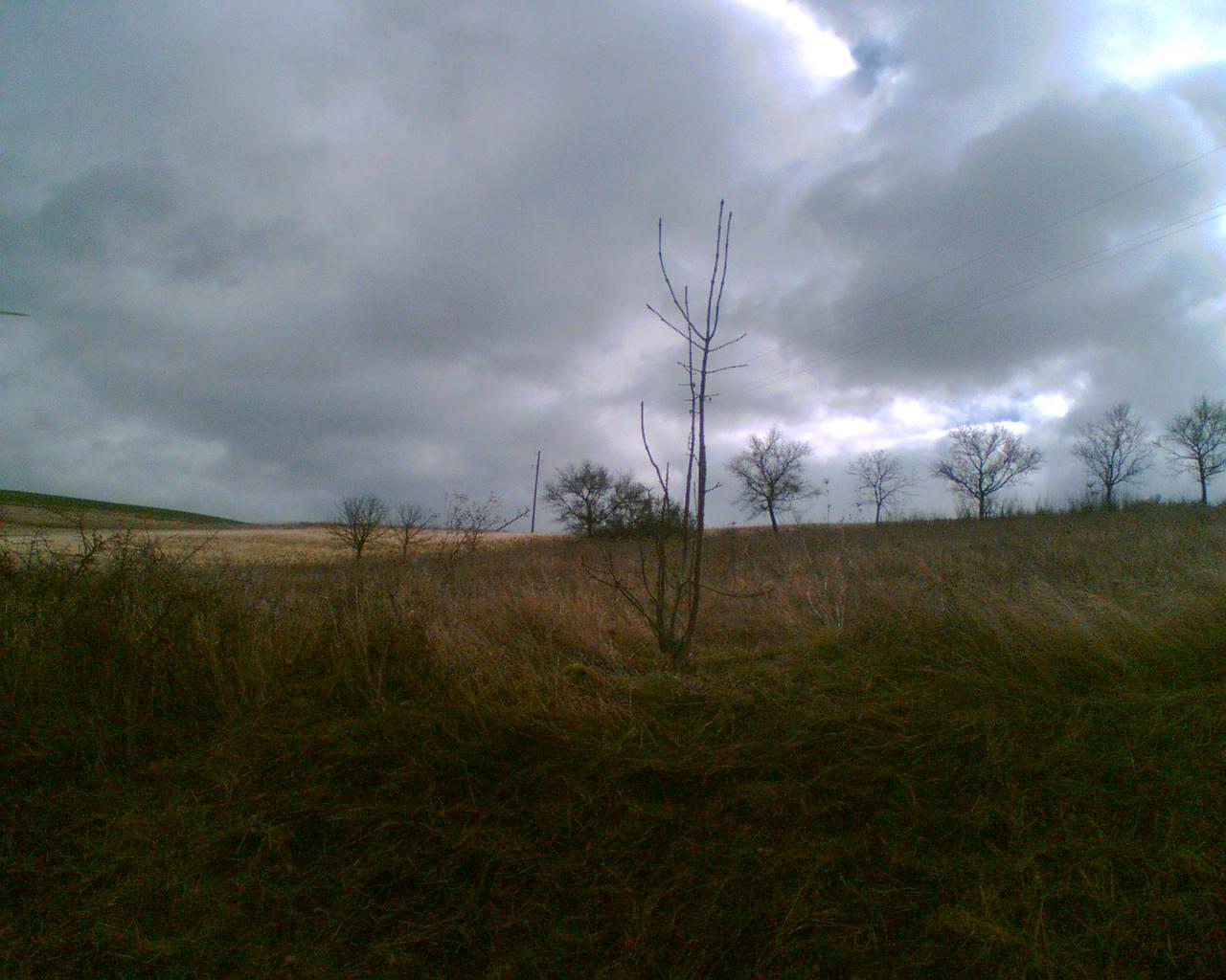 odenbach.jpg