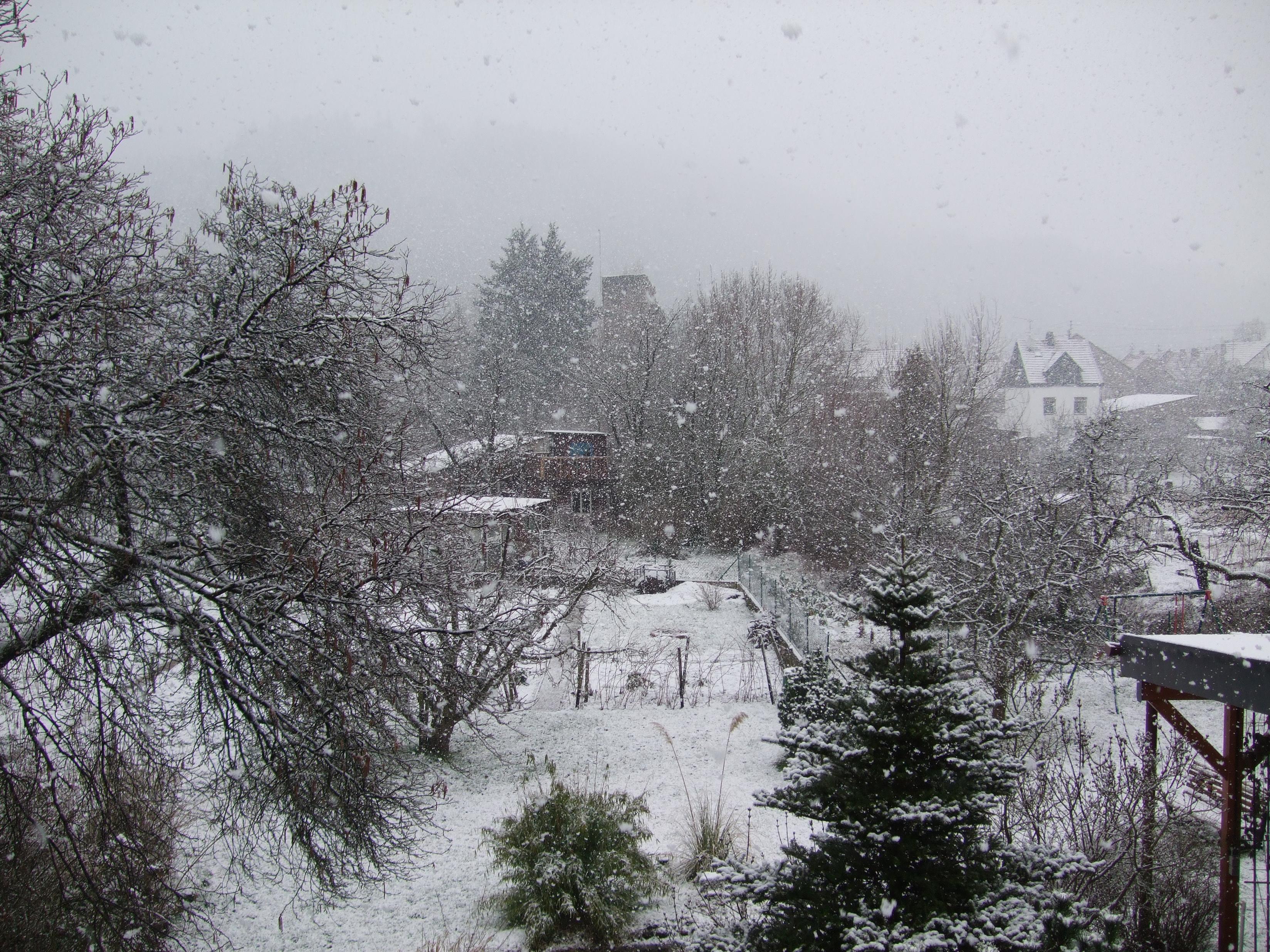 DSCF1232.JPG