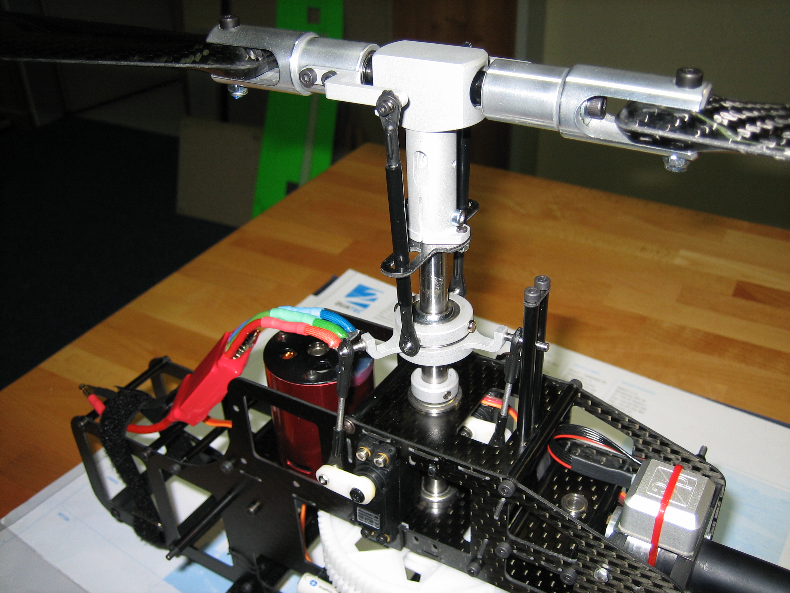Roxxter Kopf 011.jpg