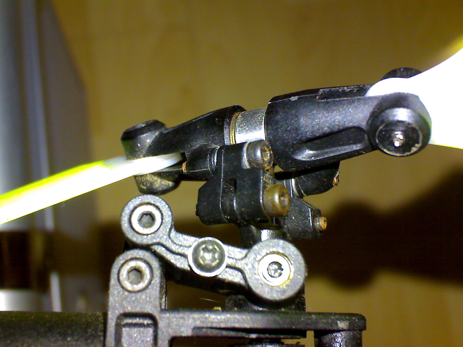 DSC00024.JPG