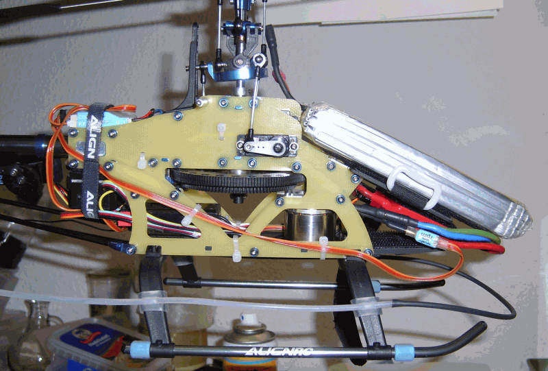 Rex mit 3700er Evo20.gif