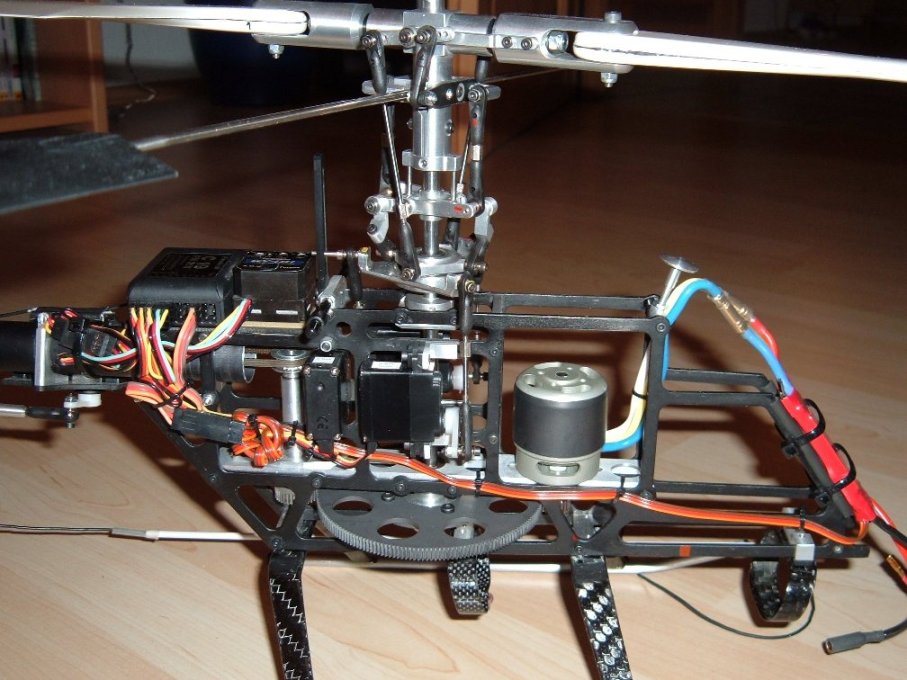 Eco291104_9.jpg