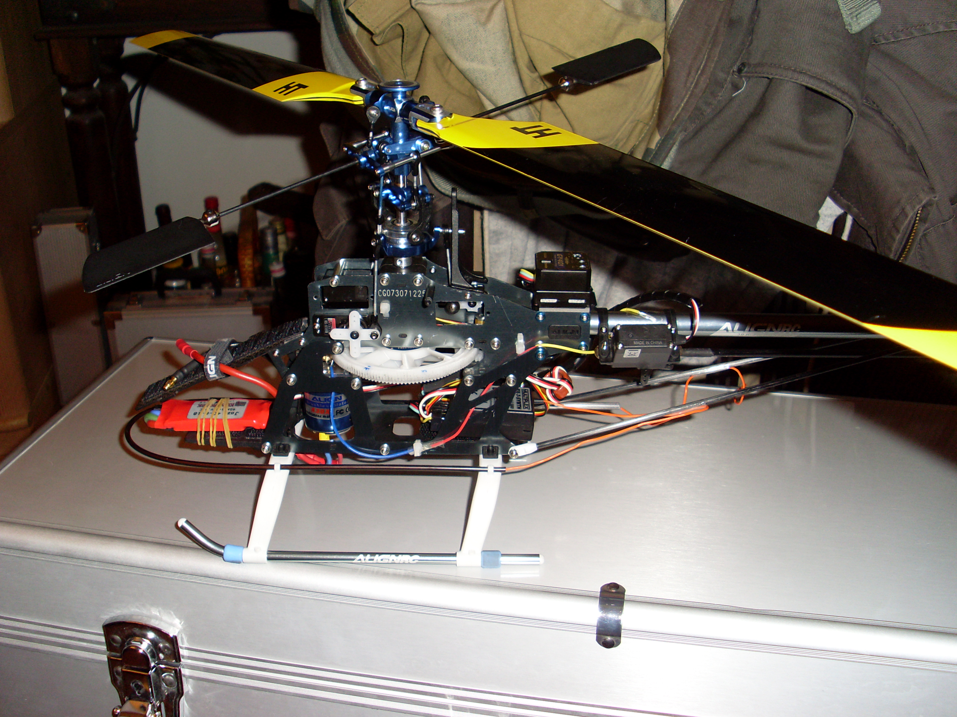 SL370134.JPG